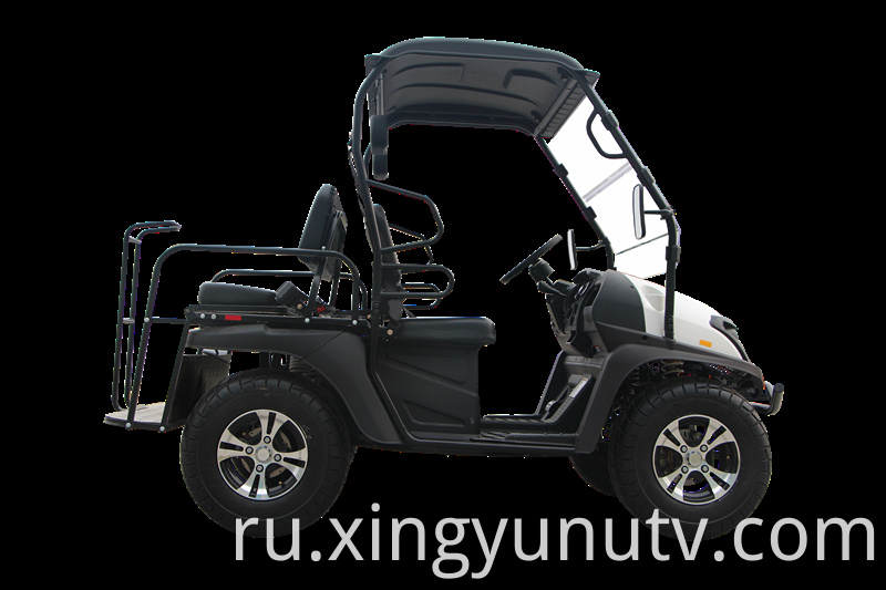 2021 Горячие Продажи Высокое Качество 5 кВт Electric UTV EC Electric Golf Cart